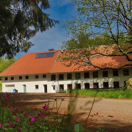 Schwarzwald Escape Guest House Gorwihl Ngoại thất bức ảnh