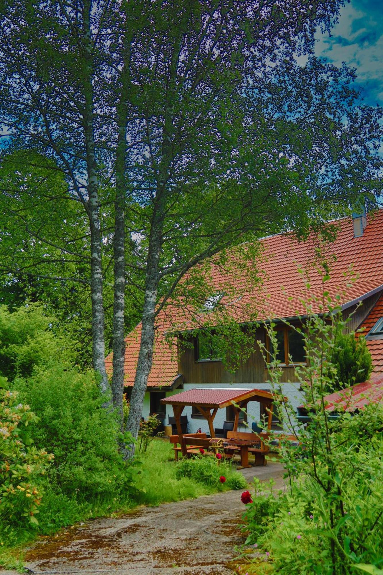 Schwarzwald Escape Guest House Gorwihl Ngoại thất bức ảnh