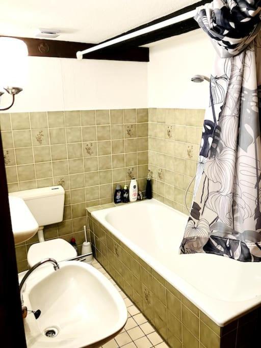 Schwarzwald Escape Guest House Gorwihl Ngoại thất bức ảnh