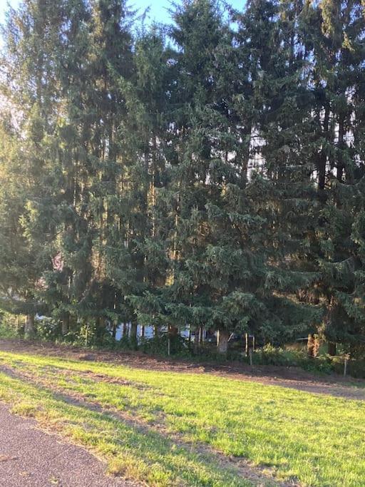 Schwarzwald Escape Guest House Gorwihl Ngoại thất bức ảnh