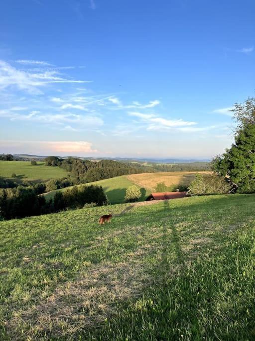 Schwarzwald Escape Guest House Gorwihl Ngoại thất bức ảnh