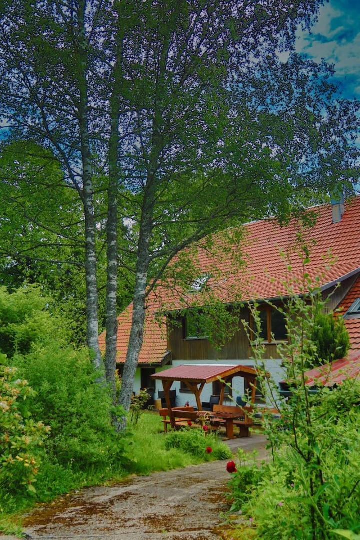 Schwarzwald Escape Guest House Gorwihl Ngoại thất bức ảnh
